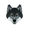 Portrait of a Wolf in pixel art style.