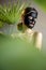 Portrait of a woman in black cleansing mask