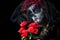 Portrait of woman dressed as catrina, skull to honor the dead in Mexico