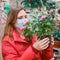 Portrait of a woman in a face mask near a greenhouse with pink rose flowers in her hands. Sales in store potted flowers for a home