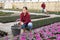 Portrait of woman gardener holding pot with flowers Brassicaceae in greenhouse