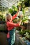 Portrait of woman inspecting plants in greenhouse