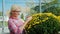 Portrait of a woman with a large bouquet of chrysanthemums in a pot. Flower kennel, owner of small business