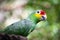Portrait of a yellow-faced parrot. Green background out of focus
