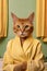 Portrait of a Yellow Tabby Cat in a Yellow Robe