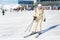 Portrait of young adult beautiful happy caucasian woman smiling near lift station at alpine winter skiing resort. Girl