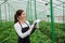 Portrait of young agriculture female engineer working in greenhouse