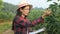 Portrait of young asian farmer smiling in cassava fields