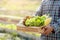 Portrait young asian man smiling harvest and picking up fresh organic vegetable kitchen garden in basket in the hydroponic farm