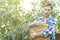 Portrait of young bearded farmer in checkered shirt collects picks pears in basket from tree