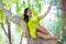 Portrait of young beautiful asian girl sitting at banyan tree smiling at camera