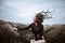 Portrait of young beauty woman with wooden crown. Alien landscape