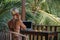 Portrait of young blonde woman freelancer working with laptop on balcony of tropical bungalow with palm trees view