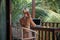 Portrait of young blonde woman freelancer working with laptop on balcony of tropical bungalow with palm trees view