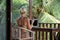 Portrait of young blonde woman freelancer working with laptop on balcony of tropical bungalow with palm trees view
