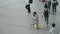 Portrait of young businesswoman sitting on a luggage in heart of terminal. Woman checking phone in airport, waiting for