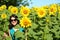 Portrait of young caucasian woman posing in the sunlit summer sunflower field