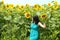 Portrait of young caucasian woman posing in the sunlit summer sunflower field