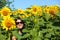 Portrait of young caucasian woman posing in the sunlit summer sunflower field