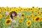 Portrait of a young caucasian woman wearing sunglasses and a straw hat posing in the sunlit summer sunflower field