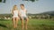 PORTRAIT: Young couple looking deep into eyes while swinging in a sunny pasture.