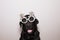 portrait of a young cute beautiful black labrador wearing a funny christmas tree glasses. White background. Indoors