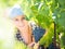 Portrait of young female worker at grape farm