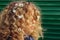 Portrait of a young girl with small white flowers in her hair, cropped shot. Teenage girl with curly hair outdoors.