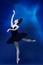 Portrait of young incredibly beautiful woman, ballerina in black ballet outfit, tutu dancing at blue studio full of