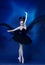 Portrait of young incredibly beautiful woman, ballerina in black ballet outfit, tutu dancing at blue studio full of