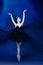 Portrait of young incredibly beautiful woman, ballerina in black ballet outfit, tutu dancing at blue studio full of