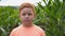 Portrait of young serious red-haired boy looking into camera against the blurred background of corn field. Little kid