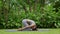 Portrait of a young woman doing yoga in the garden for a workout. Concept of lifestyle fitness and healthy. Asian women are
