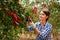 Portraite of positive woman harvests ripe cherry tomatoes in orangery