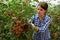 Portraite of positive woman harvests ripe cherry tomatoes in orangery