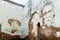 Portraits of cuban heroes Camilo Cienfuegos and Maximo Gomez at an old wall in Camaguey, Cu