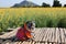 Portraits Cute Chubby Pug Dog Happy Smile Chasing Poet Flower Background Beautiful Yellow Glittering Sky Background