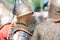 Portraits of reenactors Viking and Slav warriors before reenactment battle.