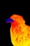 Portraits of sea eagle thermal image
