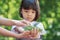 Portraits of Thai kid Asian girls with cute looks His brother`s hand took Rosemary and put it in the girl`s hand. To prepare to