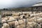 Portree, Scotland: Lambs and ewes auction sales in Portree, Skye Island