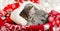 Portret cute tabby kitten in christmas hat with blur snow lights. Santa Claus hat on pretty Baby cat. Christmas cat sleeping lies