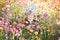 Portriat of adorable, charming toddler girl with Easter bunny ears eating chocolate bunny figure in flowers meadow