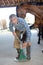 Portriat farrier filing horse`s hoof