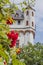Portriat of red roses and Eltville castle tower in background during daytime