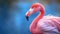 portrite Pink flamingo blure background