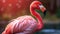 portrite Pink flamingo blure background