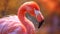 portrite Pink flamingo blure background