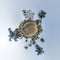 portugal catholic church in jungle among palm trees in Indian tropic village on little planet in blue sky, transformation of