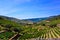 Portugal Douro Vineyards Rocky Terraces, Porto Wine Landscape, Farm Buildings